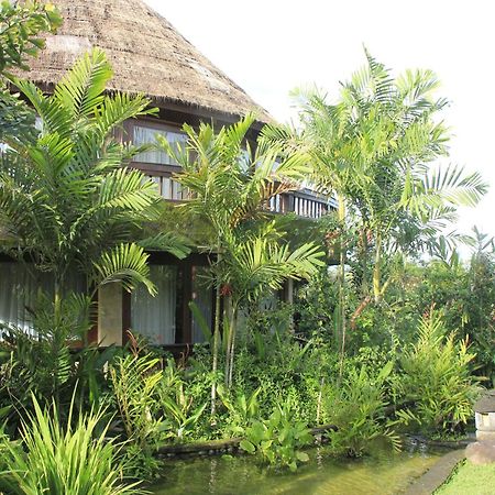 Taman Wana Resort Palasari Negara  Esterno foto